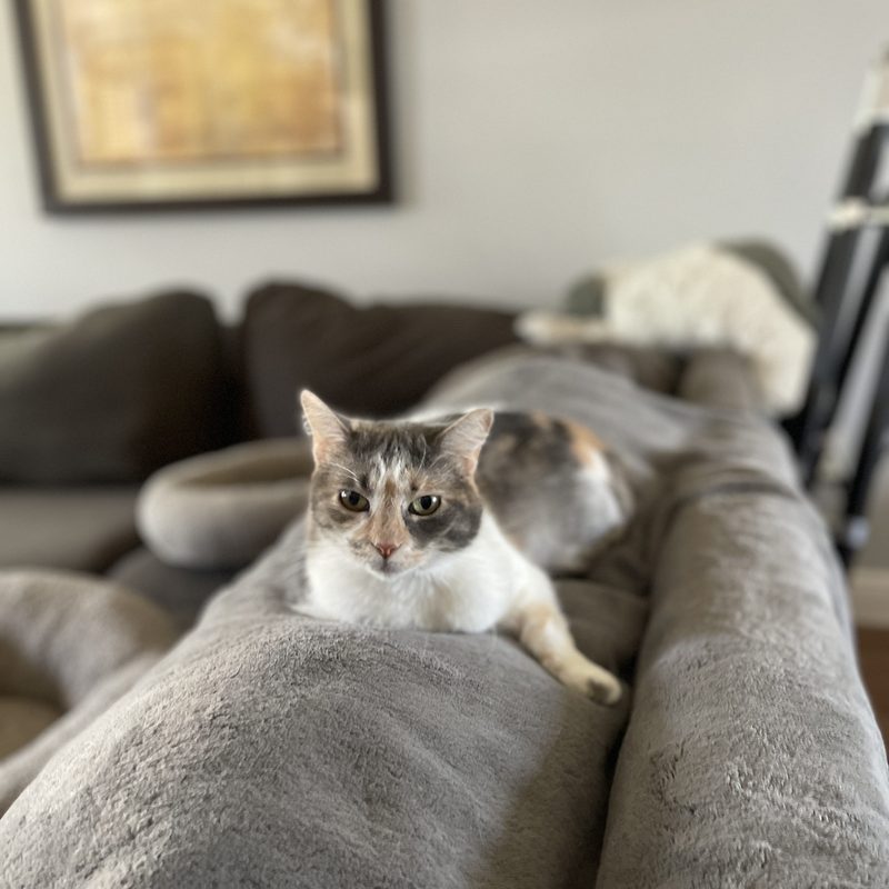 Bella