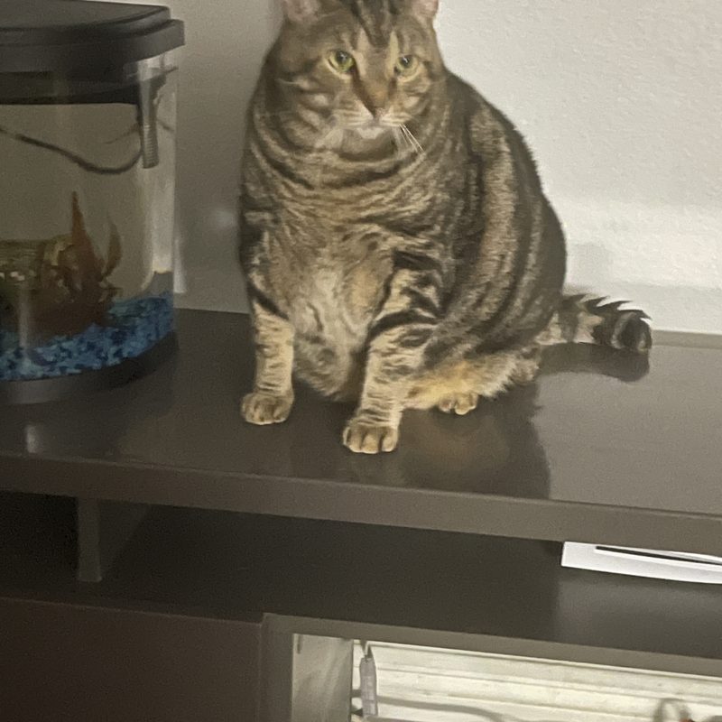 Charlie