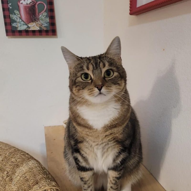 Ella