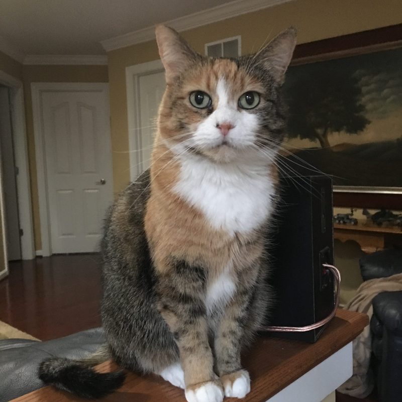 Katie