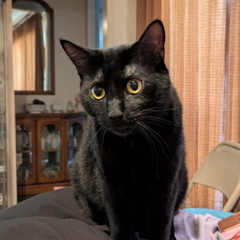 Lillith
